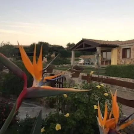 Bellissima Alessandra Grande Piscina Privata Giardino Bq Posto Auto *